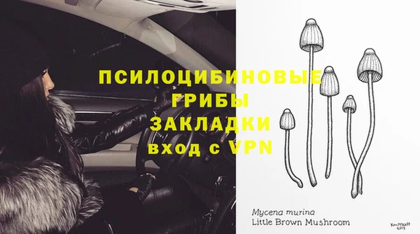 каннабис Беломорск