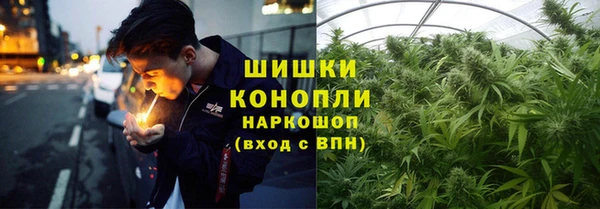 тгк Белокуриха