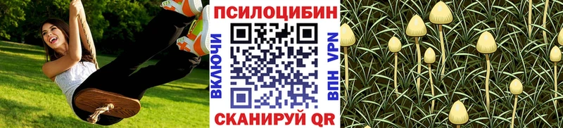 цена   Бронницы  Галлюциногенные грибы GOLDEN TEACHER 